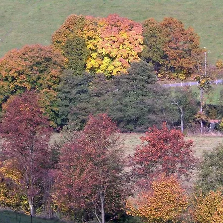 Traum Am See Appartement