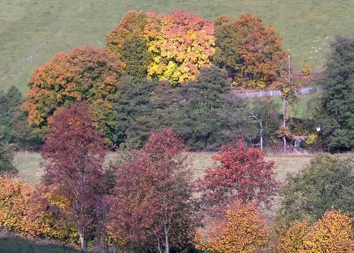 Traum Am See Apartamento